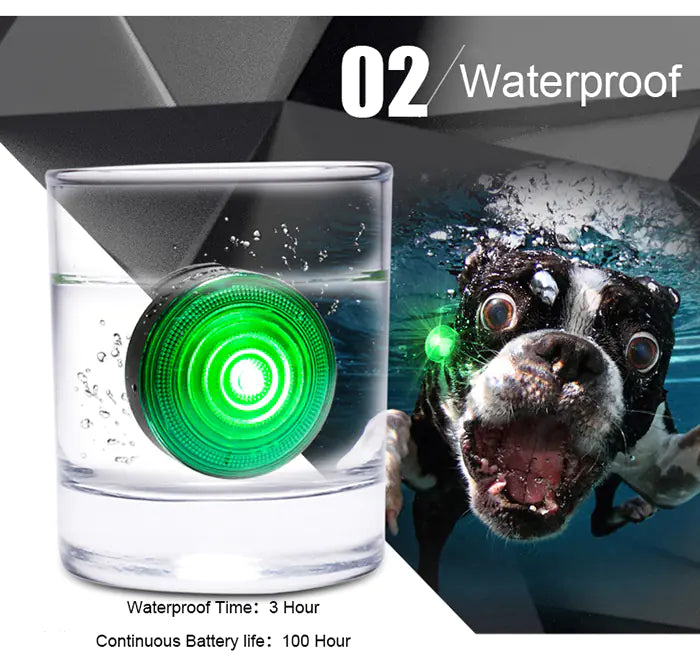 LED Dog Collar Light for Night Safety and Visibility