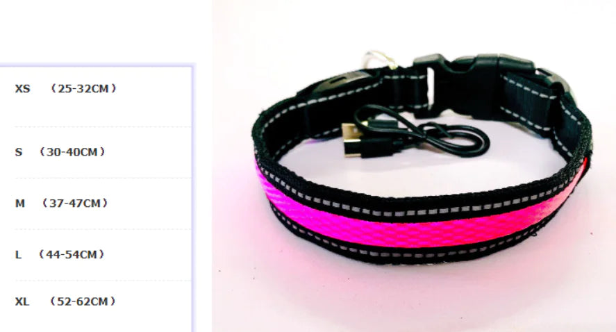 LED Dog Leash with Fluorescent Dog Collar